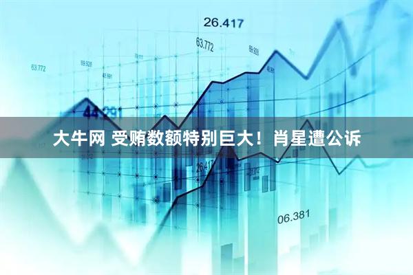大牛网 受贿数额特别巨大！肖星遭公诉