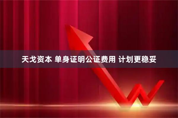 天戈资本 单身证明公证费用 计划更稳妥
