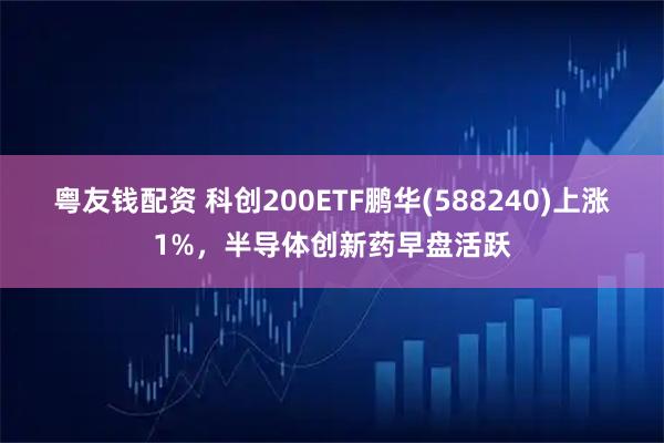 粤友钱配资 科创200ETF鹏华(588240)上涨1%，半导体创新药早盘活跃