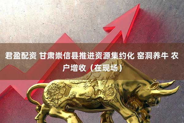君盈配资 甘肃崇信县推进资源集约化 窑洞养牛 农户增收（在现场）