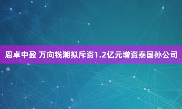 恩卓中盈 万向钱潮拟斥资1.2亿元增资泰国孙公司