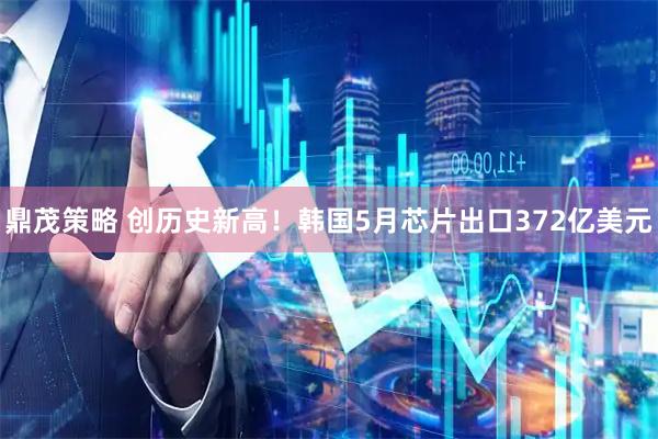 鼎茂策略 创历史新高！韩国5月芯片出口372亿美元