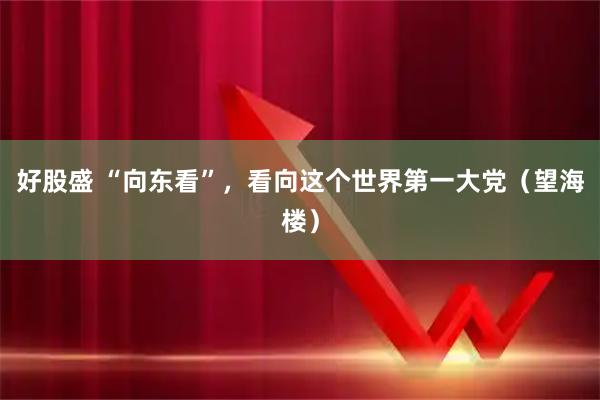 好股盛 “向东看”,看向这个世界第一大党(望海楼)