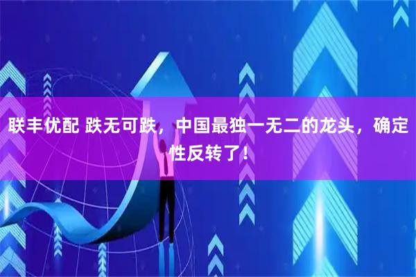 联丰优配 跌无可跌，中国最独一无二的龙头，确定性反转了！