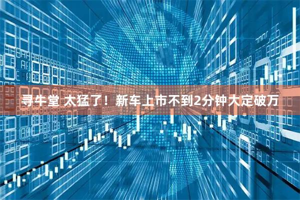 寻牛堂 太猛了！新车上市不到2分钟大定破万